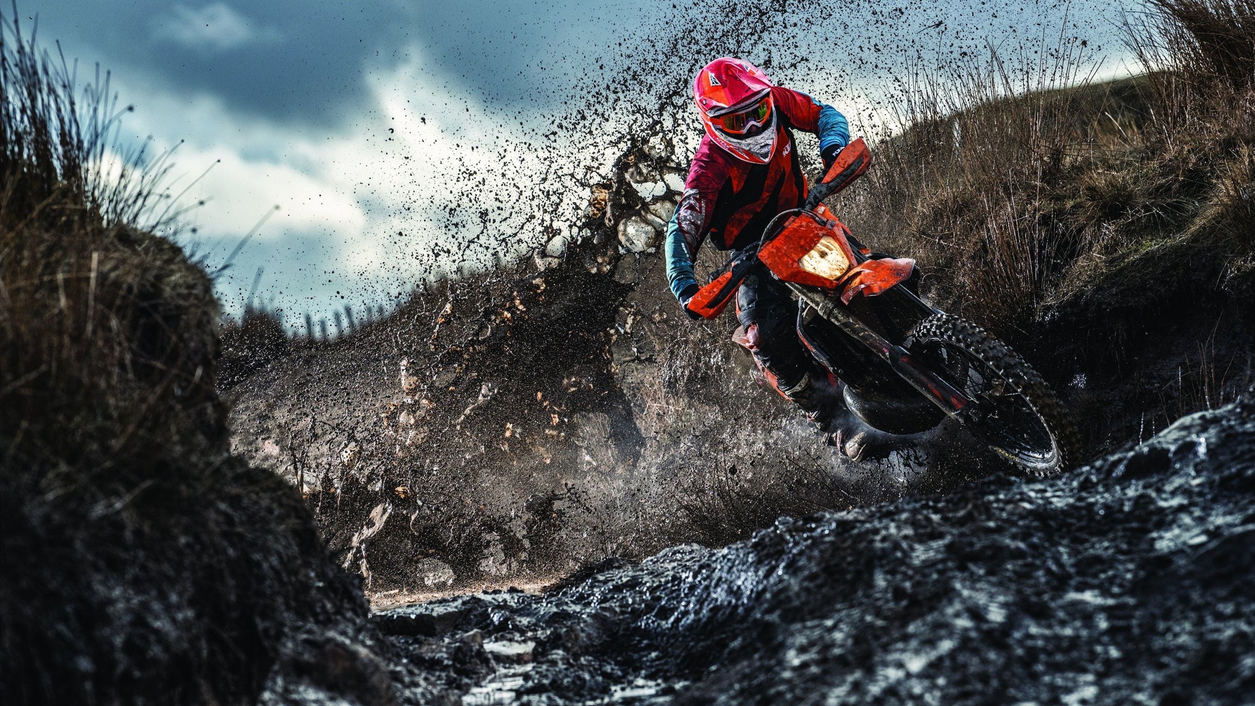 kaiyun体育-粉丝投票：你最期待哪个车手夺冠？，最佳车手投票